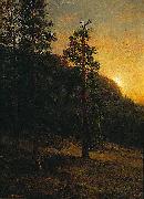 Albert Bierstadt California Redwoods oil painting